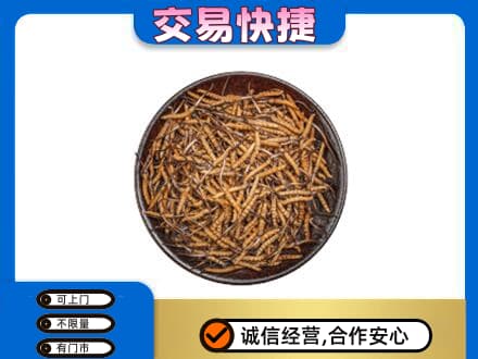 自贡礼品回收虫草.jpg